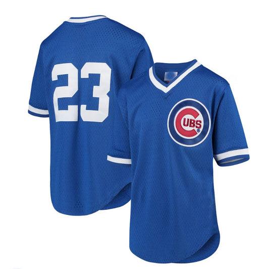 Chicago Cubs #23 Ryne Sandberg Mitchell & Ness Youth Cooperstown Collection Mesh Batting Practice Jersey - Royal Baseball Jerseys