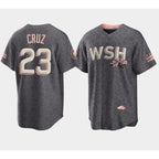 Washington Nationals #23 Nelson Cruz 2022 Grey KLUNKIM City Connect Cherry Blossom Cool Base Stitched Jersey
