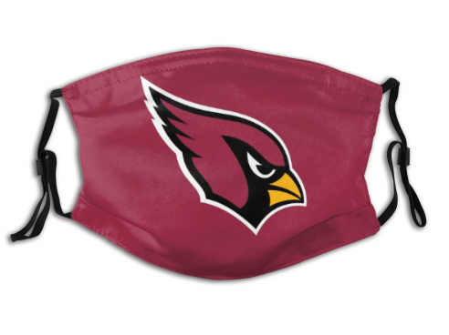 4 Pack Football Personalized Arizona Cardinals Adult Face Mask With Filters PM 2.5