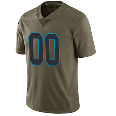 Custom Jersey 2020 Carolina Panthers Stitched American Football Jerseys