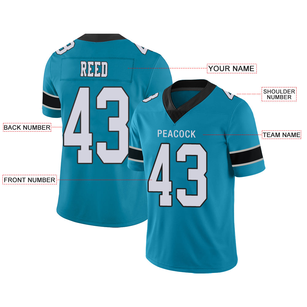 Custom Carolina Panthers Stitched American Football Jerseys Personalize Birthday Gifts Blue Jersey